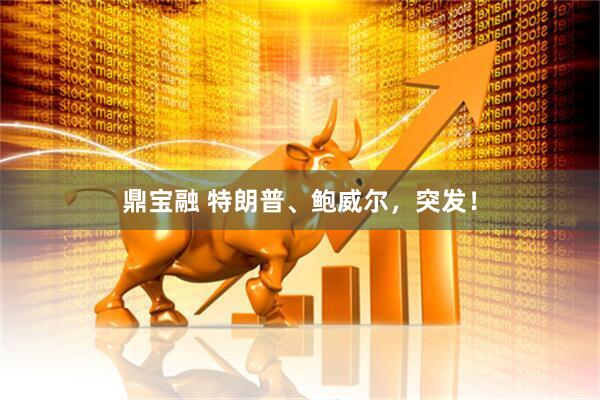 鼎宝融 特朗普、鲍威尔，突发！