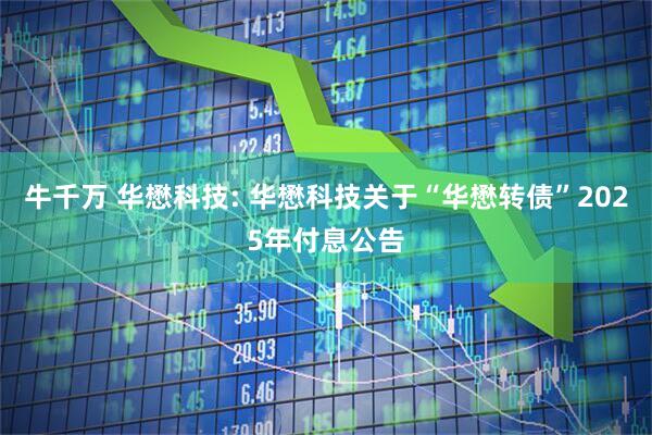 牛千万 华懋科技: 华懋科技关于“华懋转债”2025年付息公告