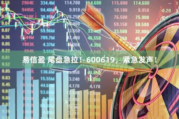 易信盈 尾盘急拉！600619，紧急发声！